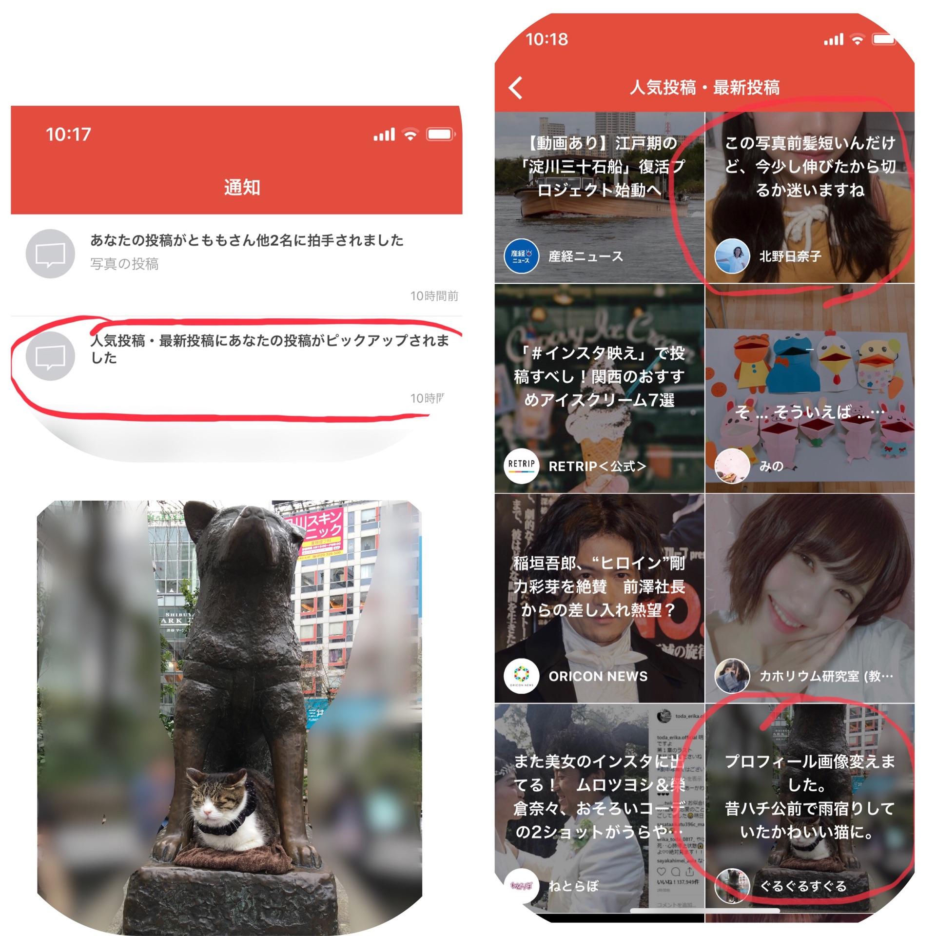 投稿画像
