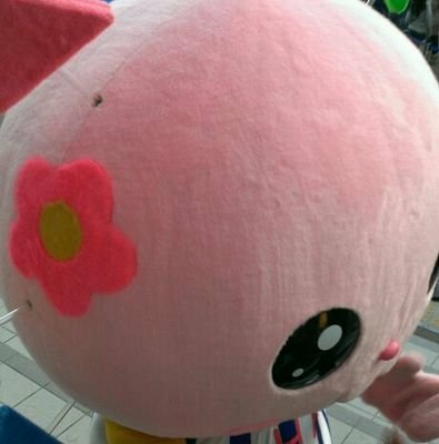 さわでぃー