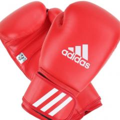 亀田和毅×メディナ 自己採点しながら観戦