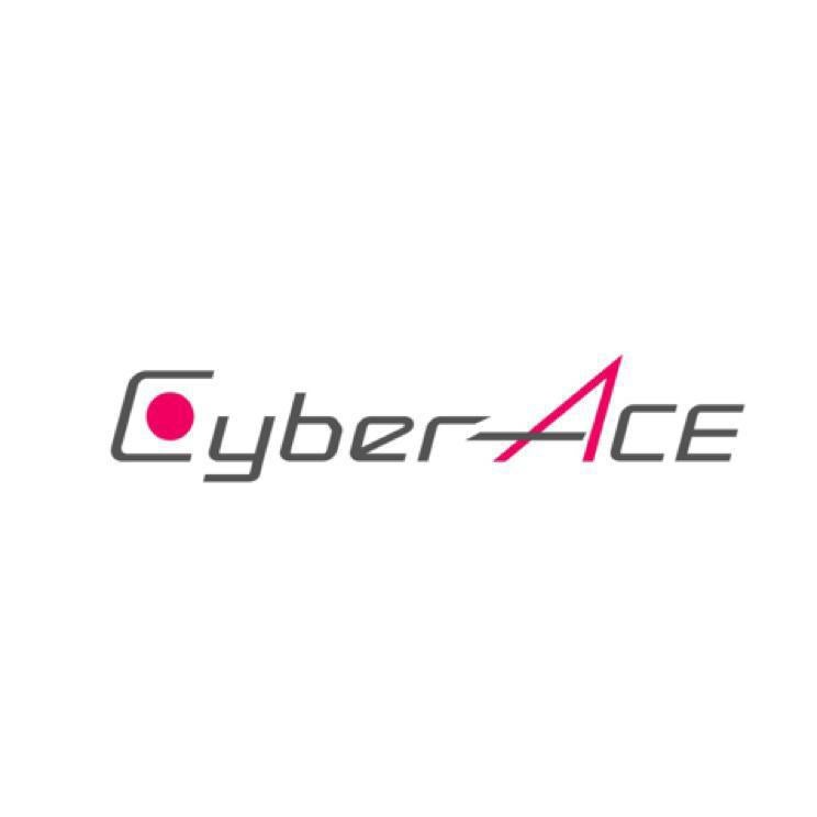 株式会社CyberACE(※停止中)