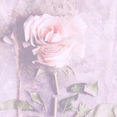 梨央ちゃん専用❁