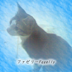 ファゼリー/Fazelly_ly