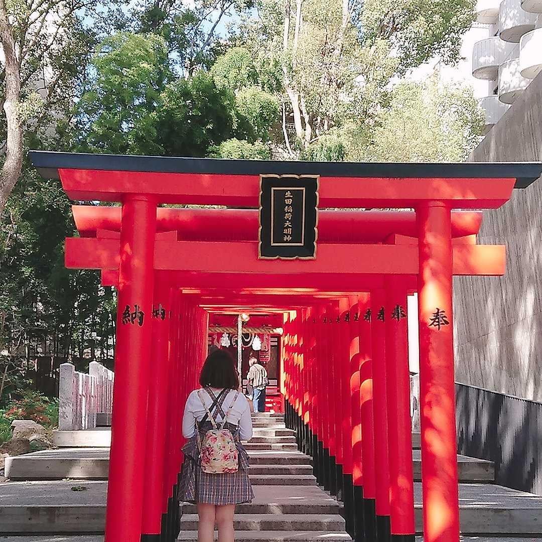 栗鼠