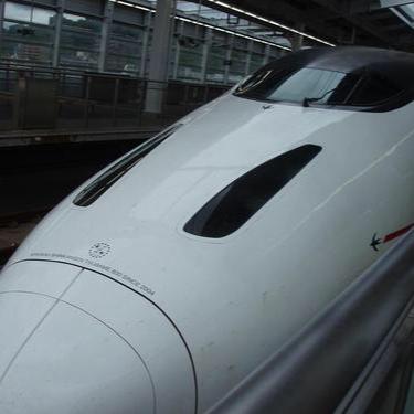 whitepine まつ