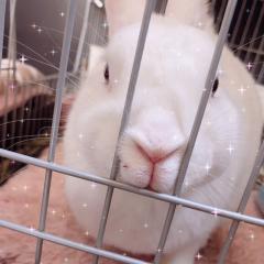 わかなのトーク