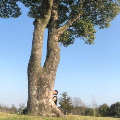 いのうえゆうき