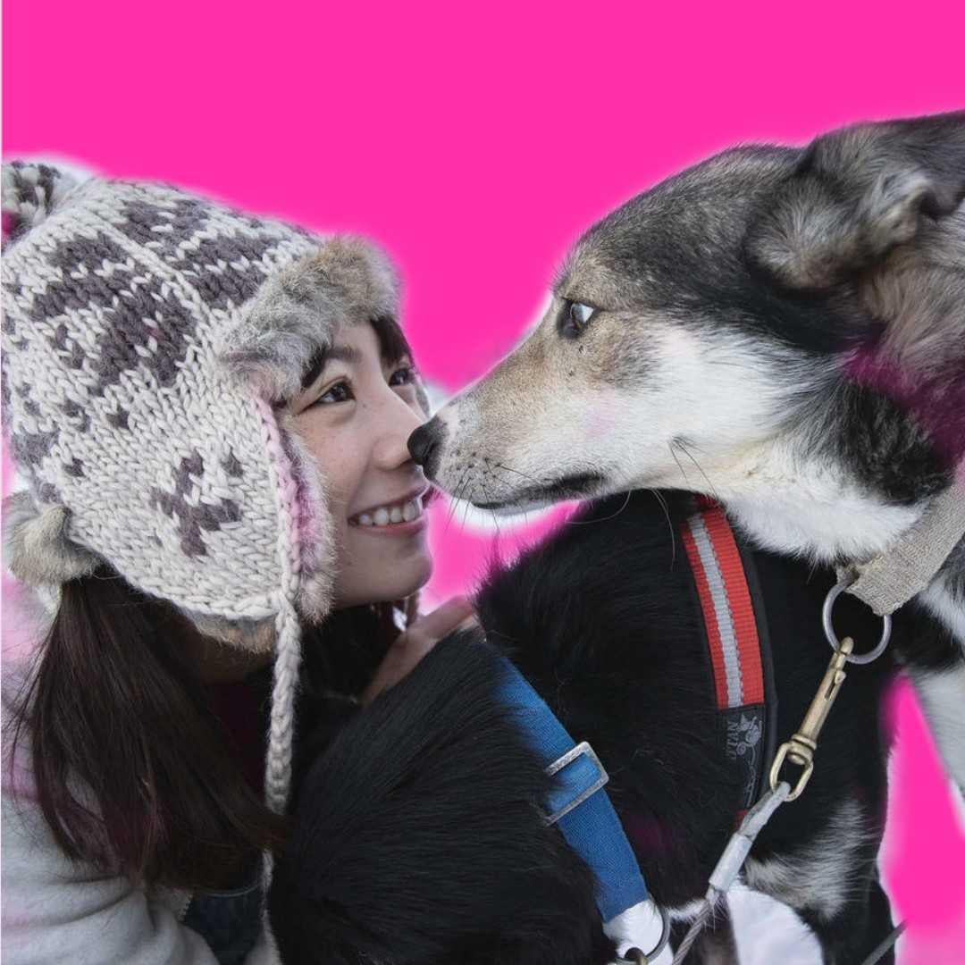 ピッカーる