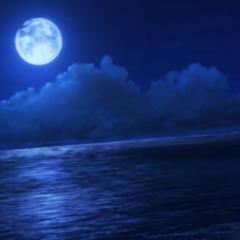 雑談(シナリオについてetc…)