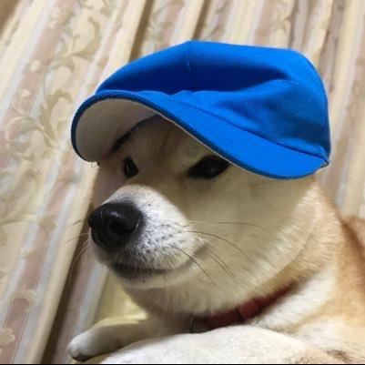 こまち