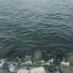 ありすた