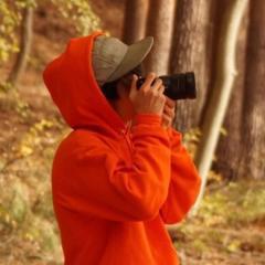 なるきちクリエイティブのヒント👀