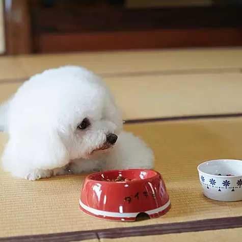 ジャニーズ大好き