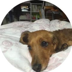 まろん