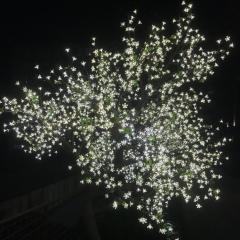 John Floydのトーク