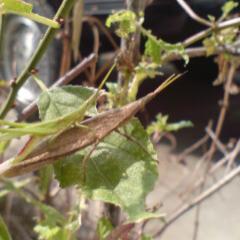 Daisuke🧸💖のトーク