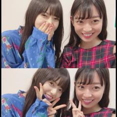 こたー。
