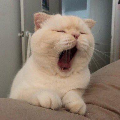 ソヨンのトーク