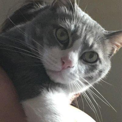 ヤーヤーちゃん。