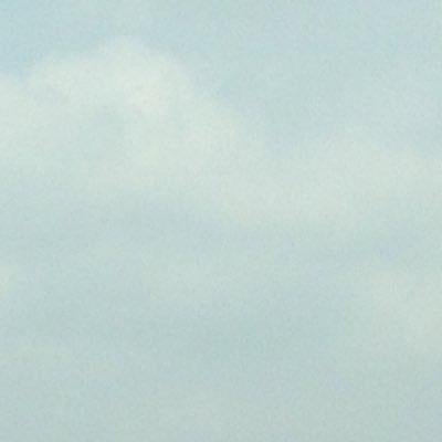 ミントのトーク