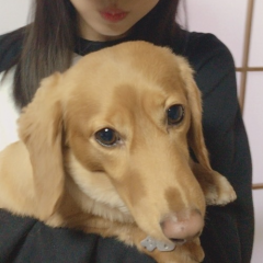ジロー
