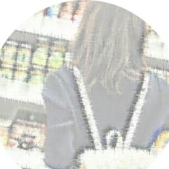 /  / ：            ❁⃘