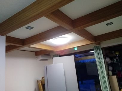 バタコ(sevenstars)