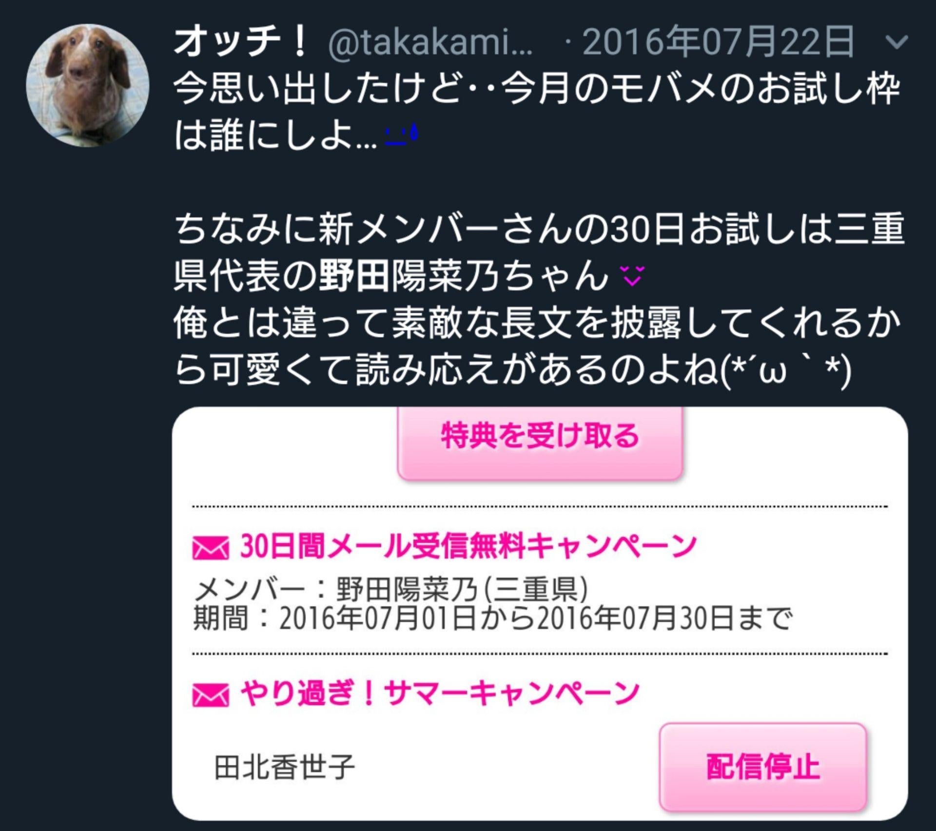 投稿画像