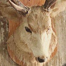 ♥︎︎のトーク