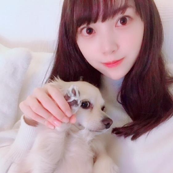 ヨッシーのトーク