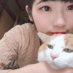 のり