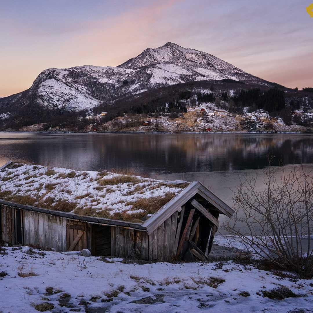 ロスインゴのトーク