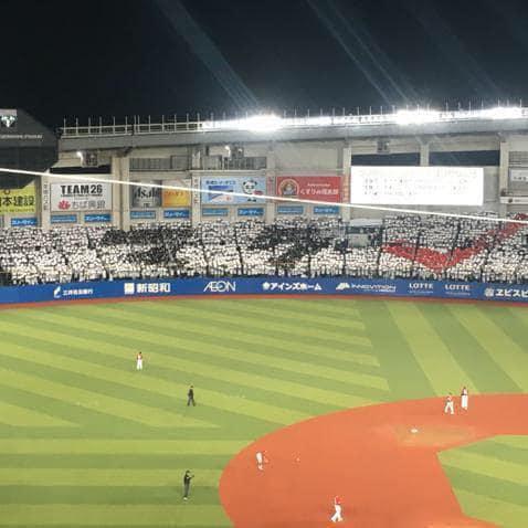 プロ野球をこよなく愛す者たち