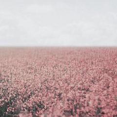 ☺︎のトーク