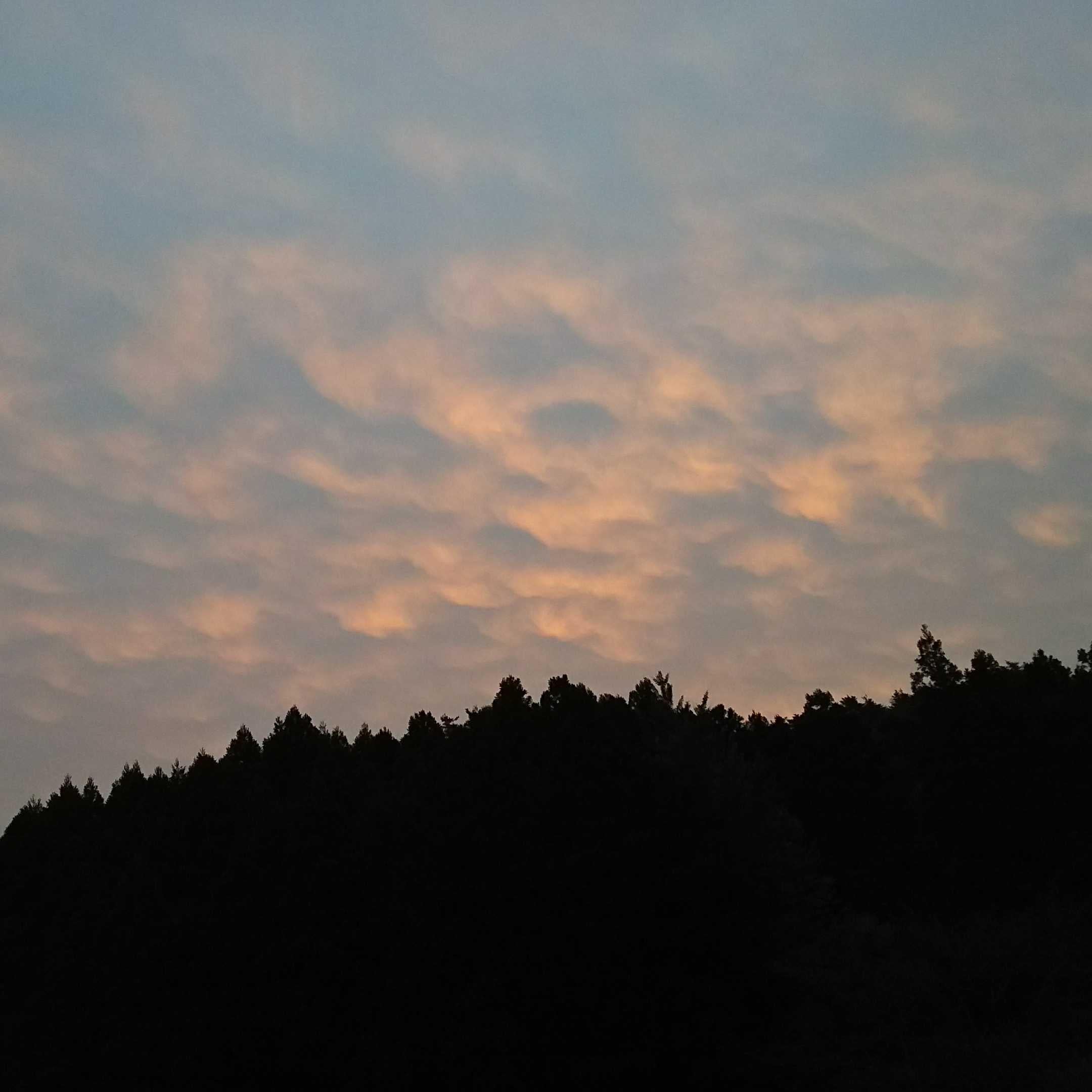 ヒマつぶしトーク