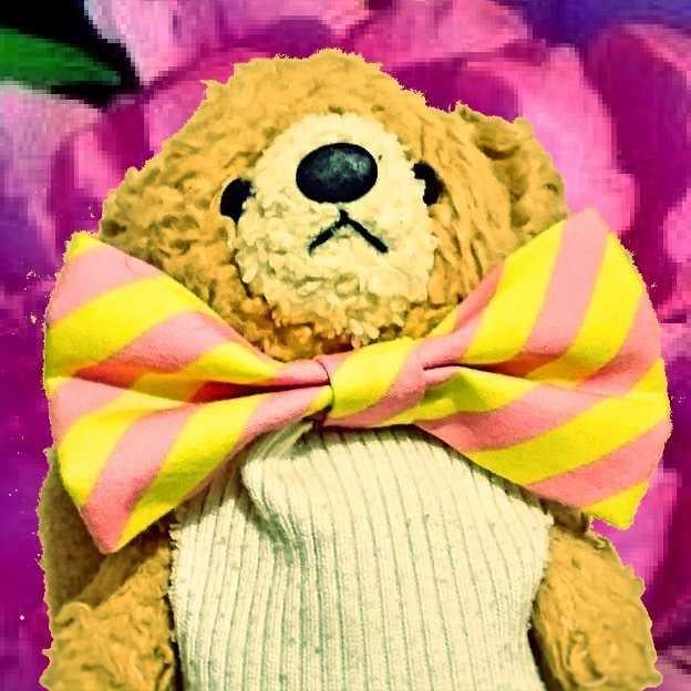 ぴろぴろ(｡・・)つ⌒🎀