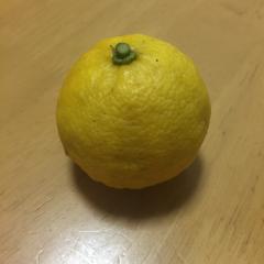 ゆずき