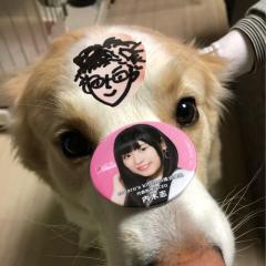 秀きゅん@内木志推し