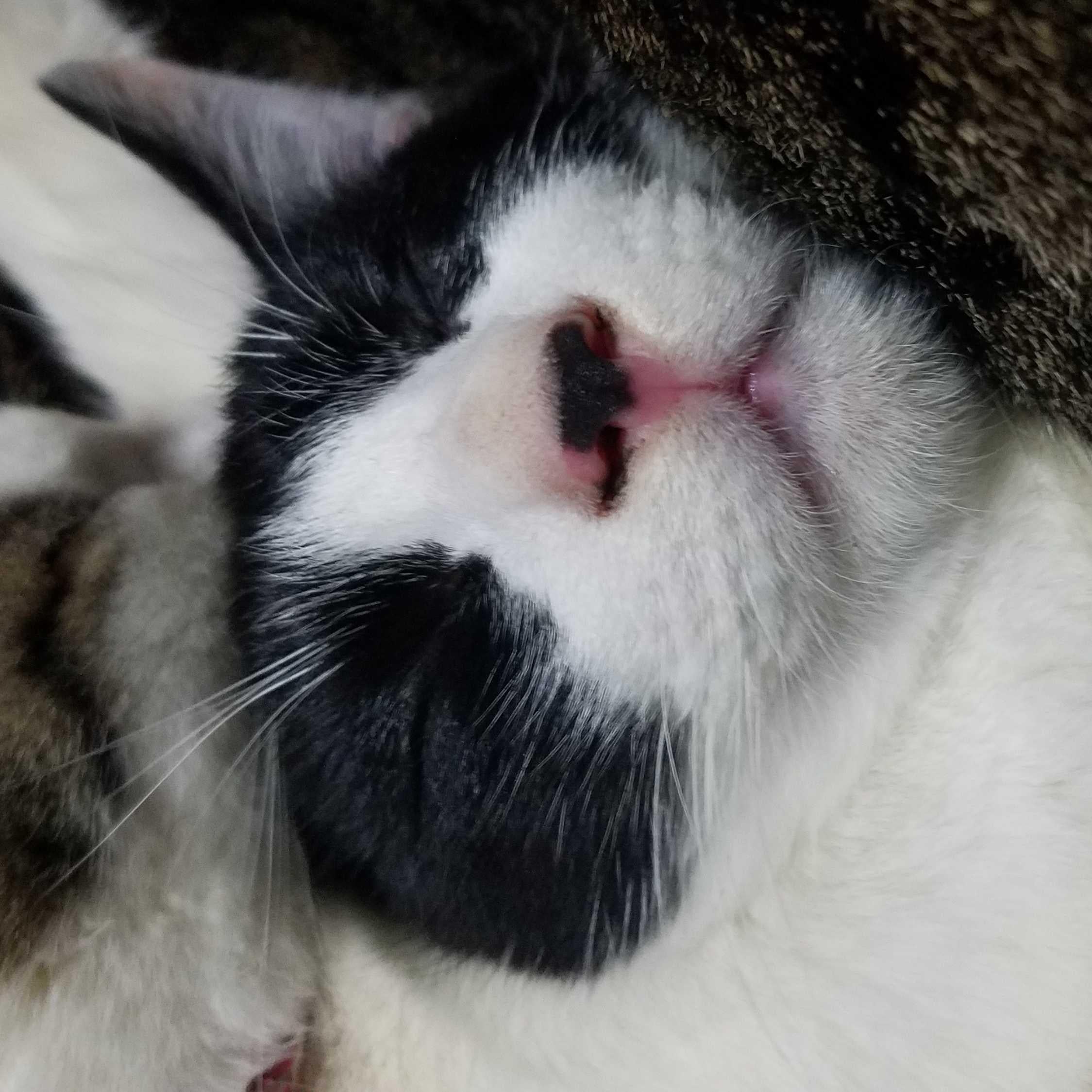ジンキ
