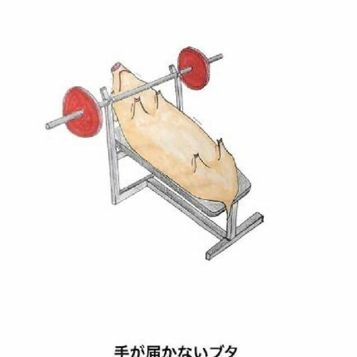 樹 ◢46