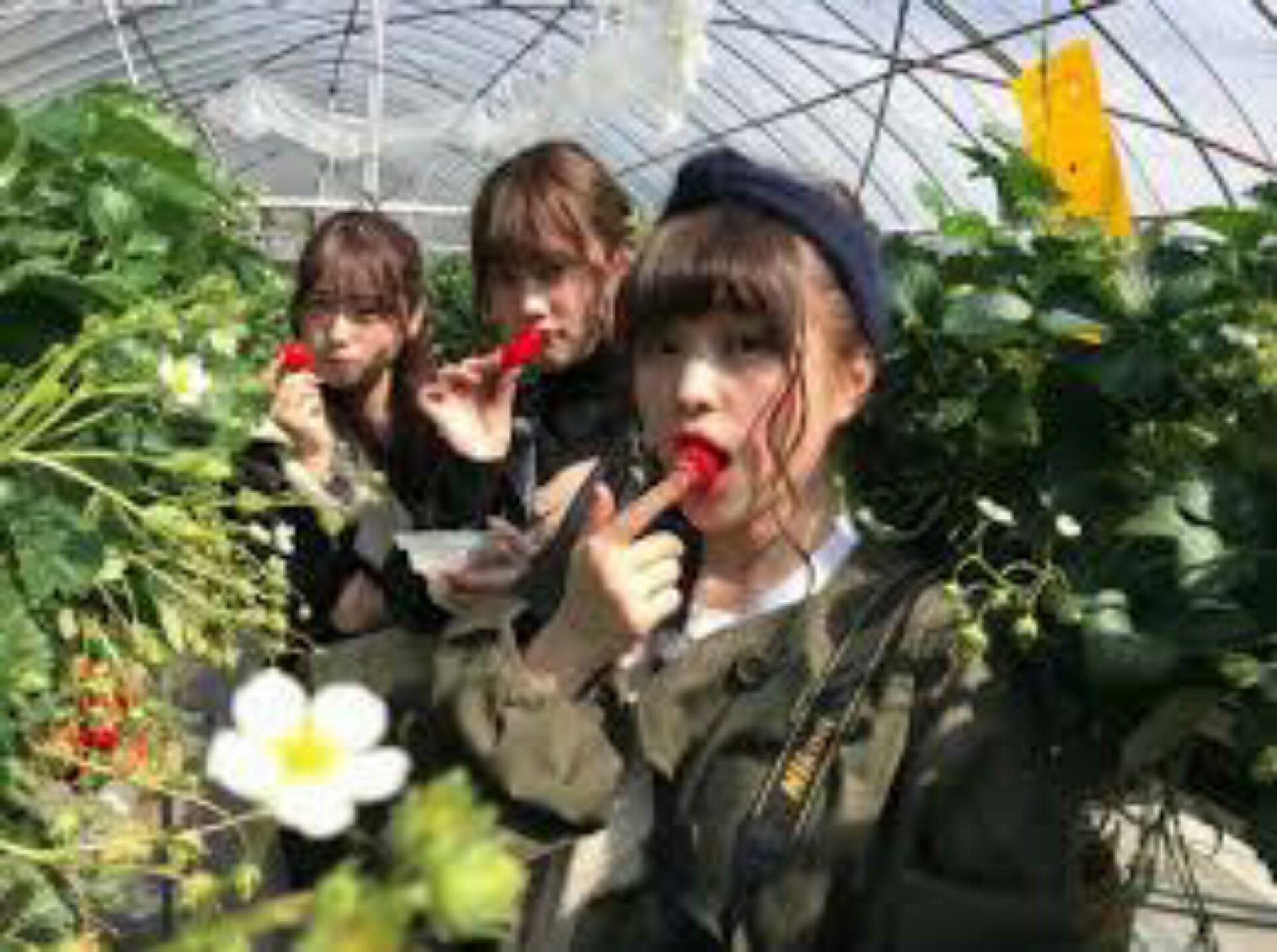 ๆ็จฟ็ปๅ