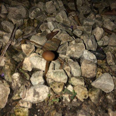 りょうたのトーク