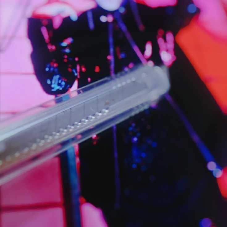 ◌⑅⃝りとーく⑅⃝◌