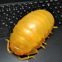 ダンゴムシ展示室