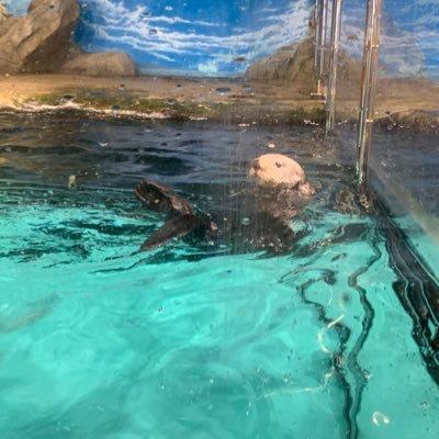 アユミのトーク