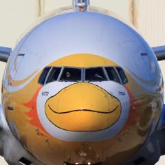 ✈︎ひっさー✈︎