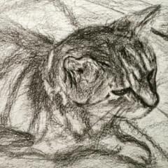 玲夜の落書き帳