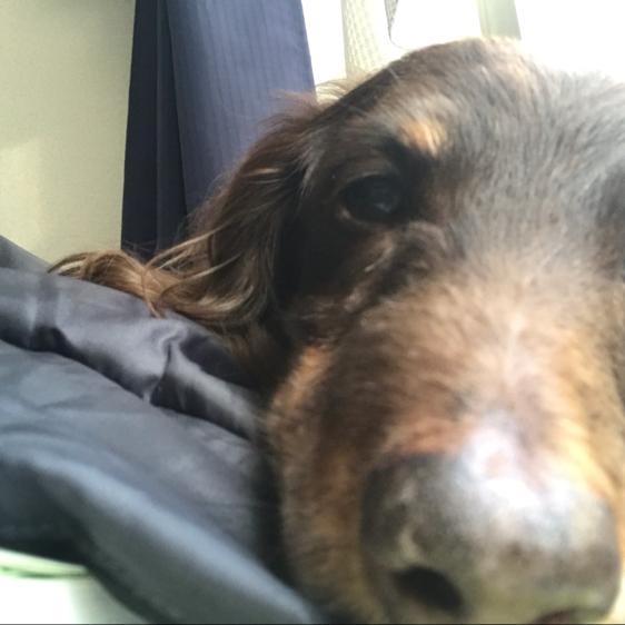 神田さんです。のトーク