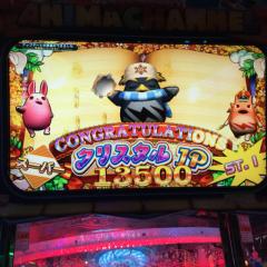 それゆけアニマ会