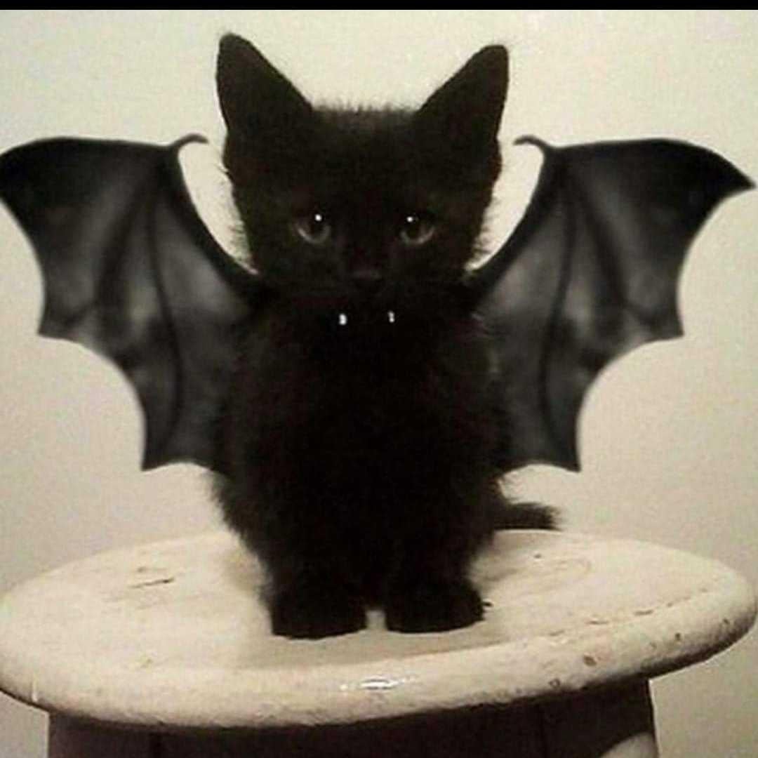 ○○君だぞ☝️