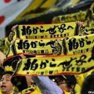 柏熱地帯